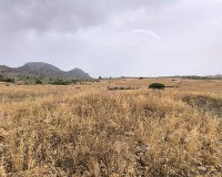 Venta - Plot - Yecla - Yecla Centro