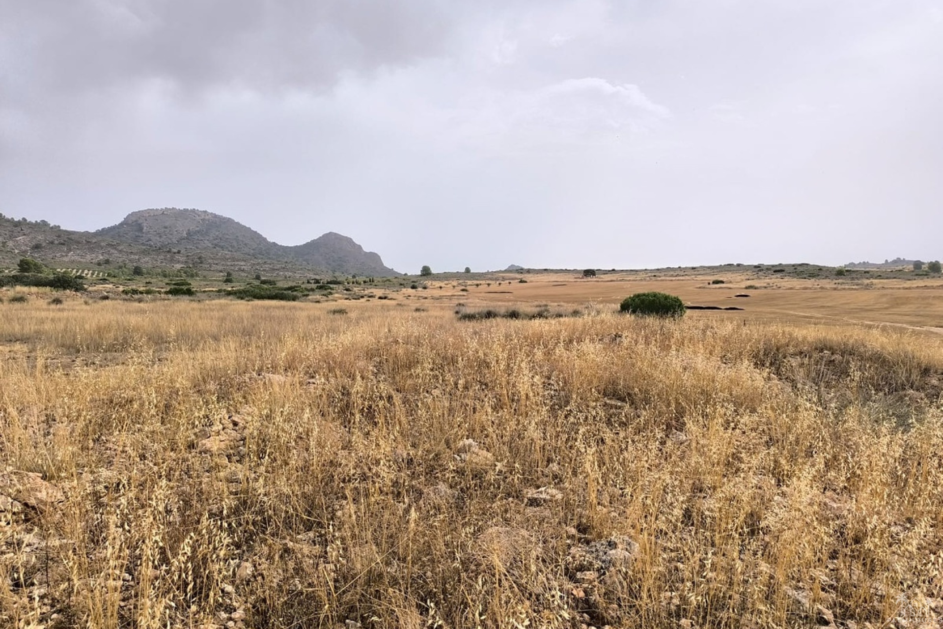 Venta - Plot - Yecla - Yecla Centro