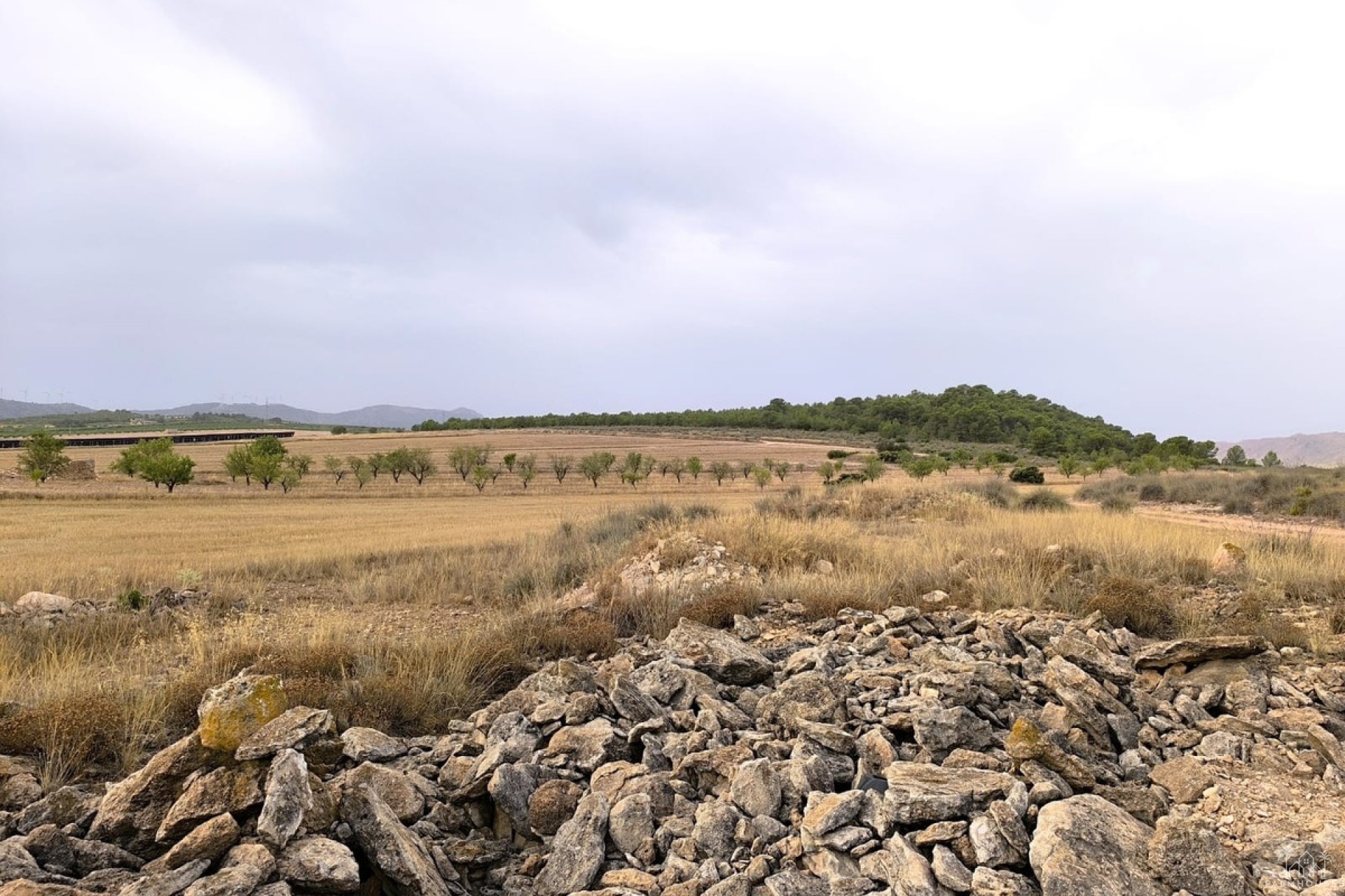 Venta - Plot - Yecla - Yecla Centro