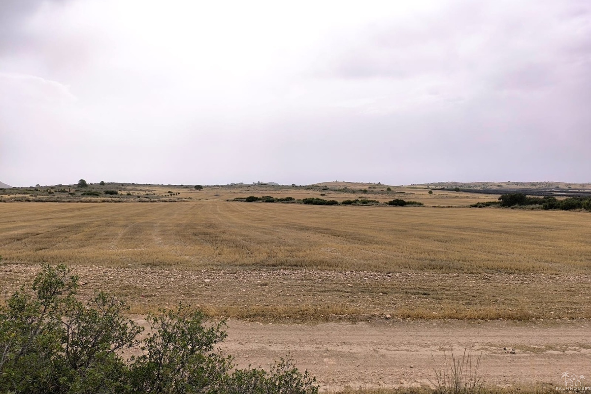 Venta - Plot - Yecla - Yecla Centro