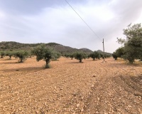 Venta - Plot - Yecla - Yecla Centro