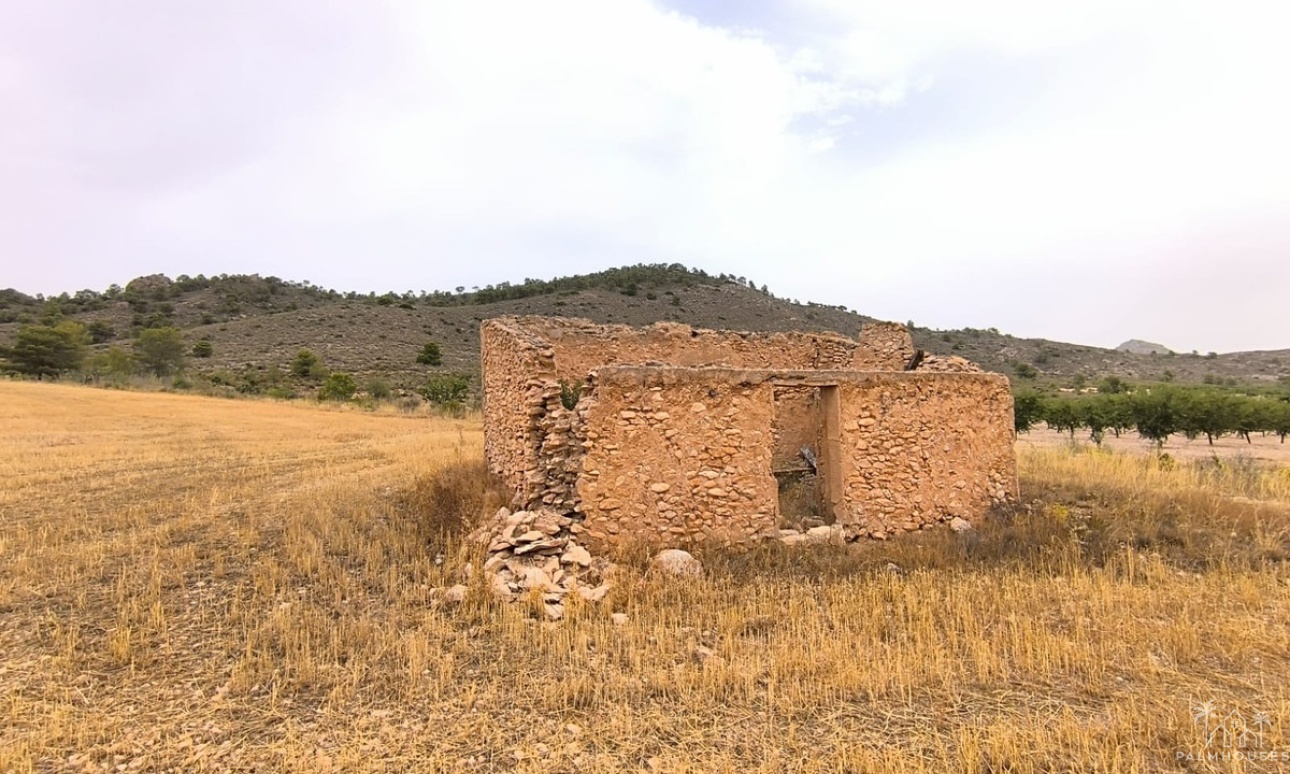 Venta - Plot - Yecla - Yecla Centro