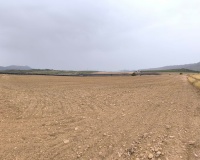 Venta - Plot - Yecla - Yecla Centro