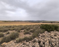 Venta - Plot - Yecla - Yecla Centro