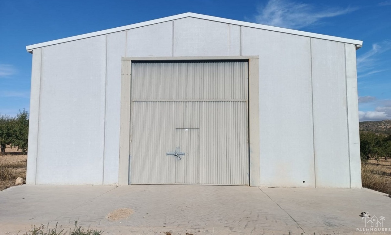 Venta - Plot - Yecla - Yecla Centro