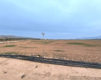 Venta - Plot - Yecla - Yecla Centro