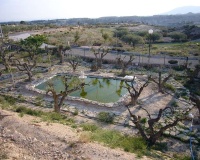 Venta - Villa - Abanilla - Inland