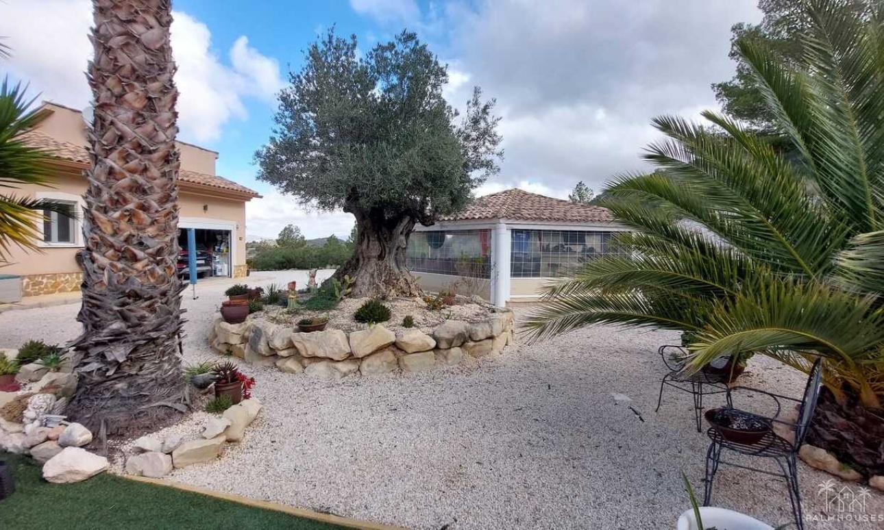 Venta - Villa - Abanilla - La Zarza
