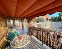 Venta - Villa - Albatera - Albatera Centro