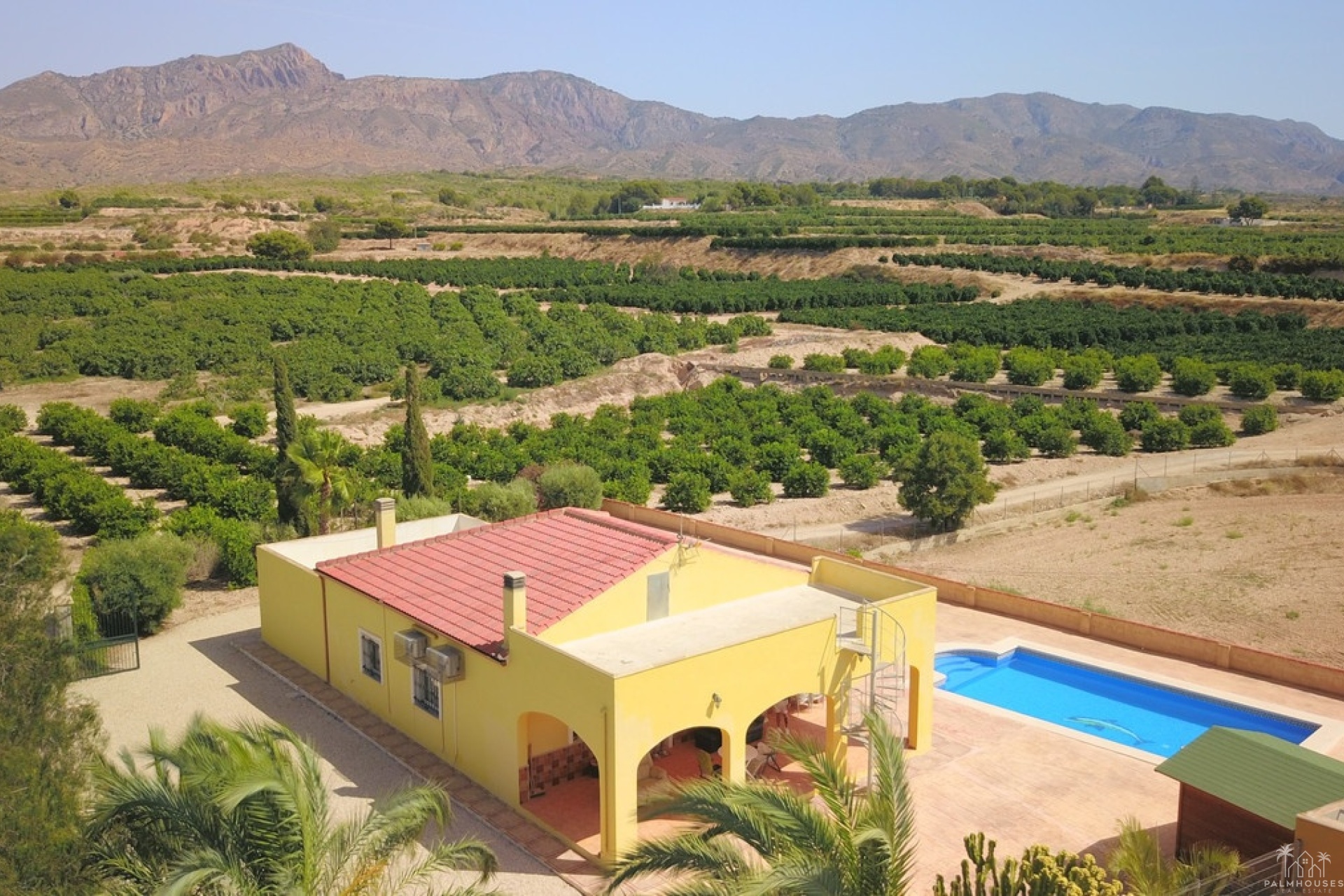 Venta - Villa - Albatera - Albatera Centro