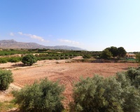 Venta - Villa - Albatera - Albatera Centro