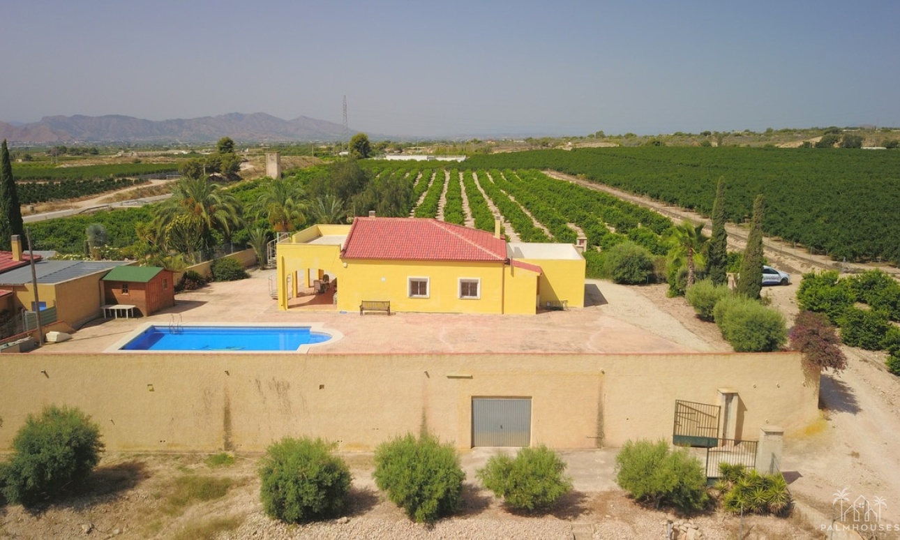 Venta - Villa - Albatera - Albatera Centro