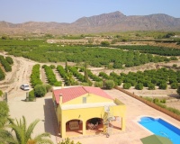 Venta - Villa - Albatera - Albatera Centro