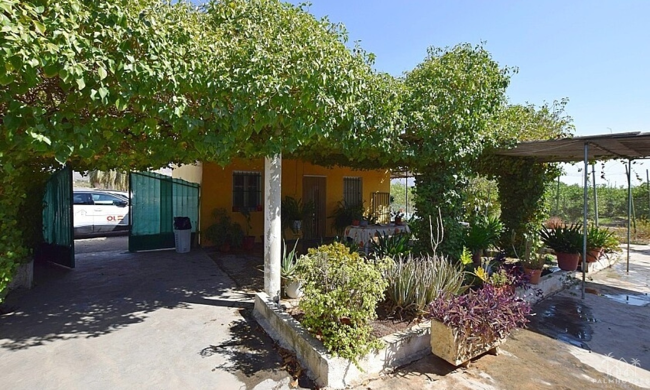 Venta - Villa - Albatera - Albatera Centro