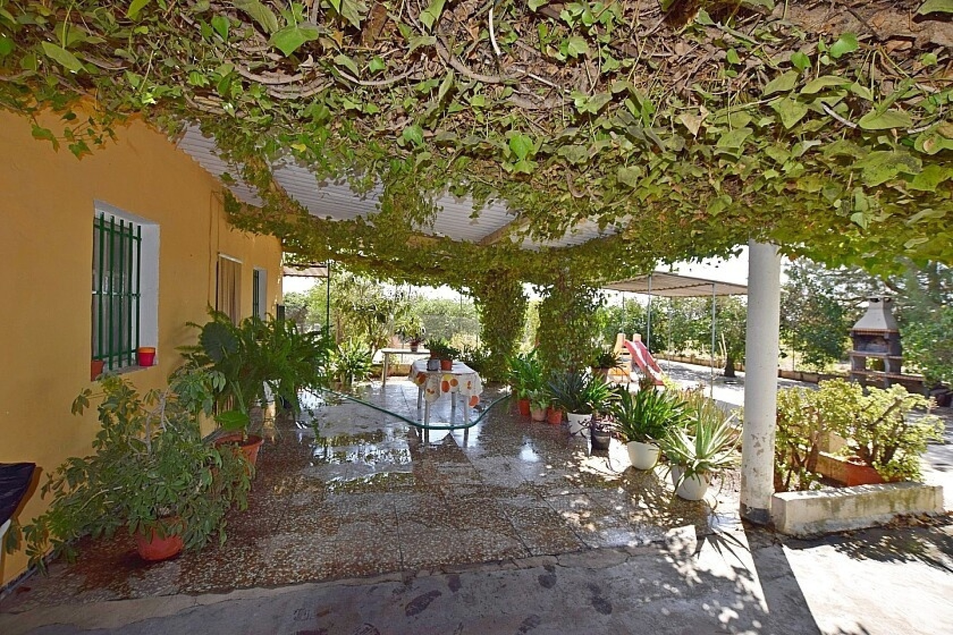 Venta - Villa - Albatera - Albatera Centro