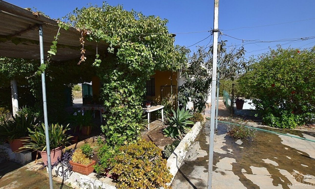 Venta - Villa - Albatera - Albatera Centro