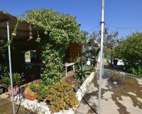 Venta - Villa - Albatera - Albatera Centro