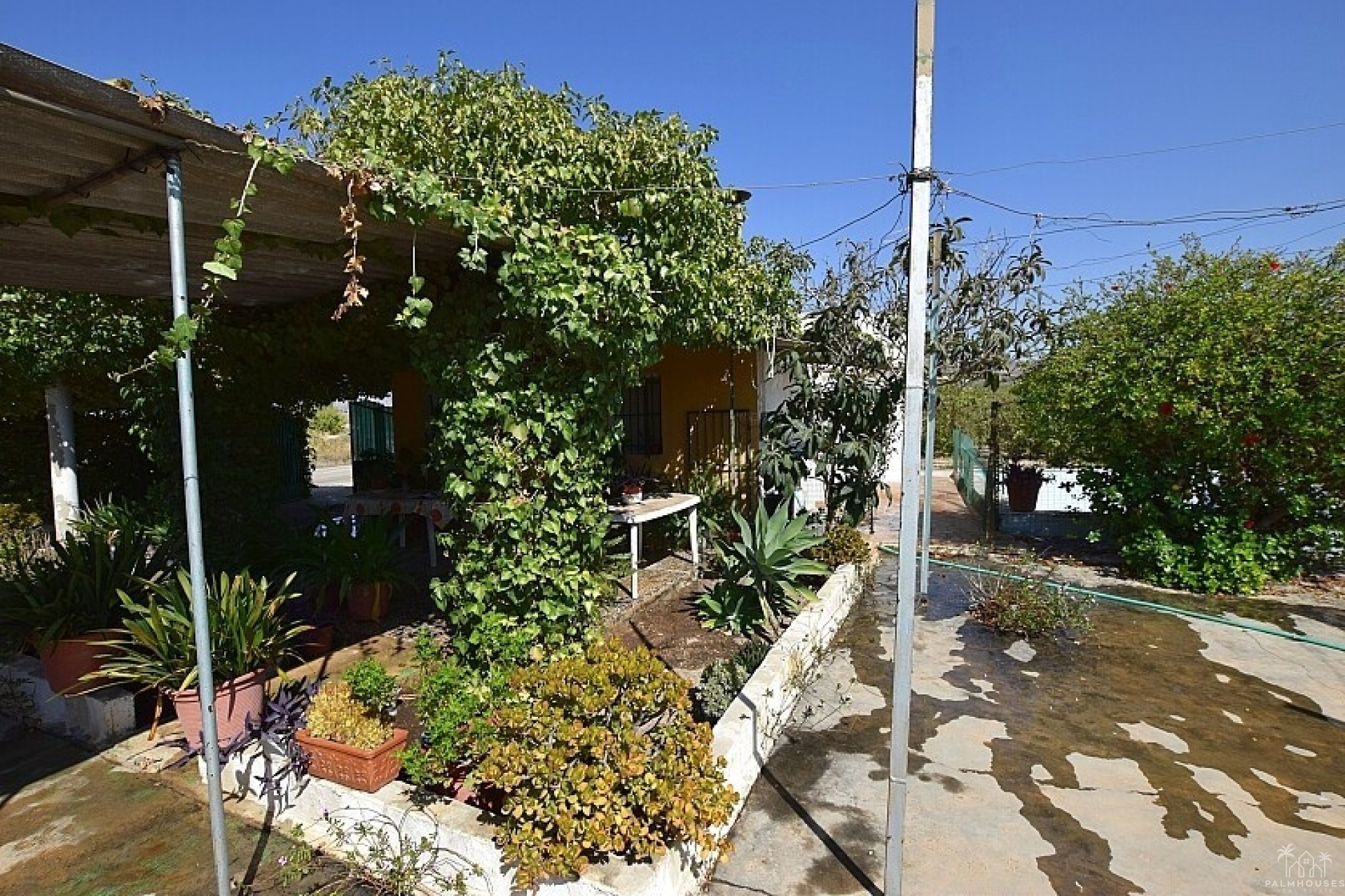 Venta - Villa - Albatera - Albatera Centro