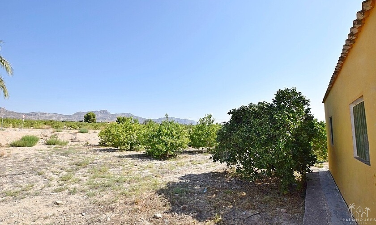 Venta - Villa - Albatera - Albatera Centro