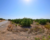 Venta - Villa - Albatera - Albatera Centro