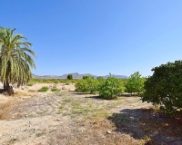Venta - Villa - Albatera - Albatera Centro