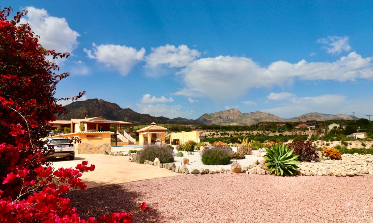 Venta - Villa - Albatera - Albatera Centro