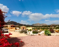 Venta - Villa - Albatera - Albatera Centro