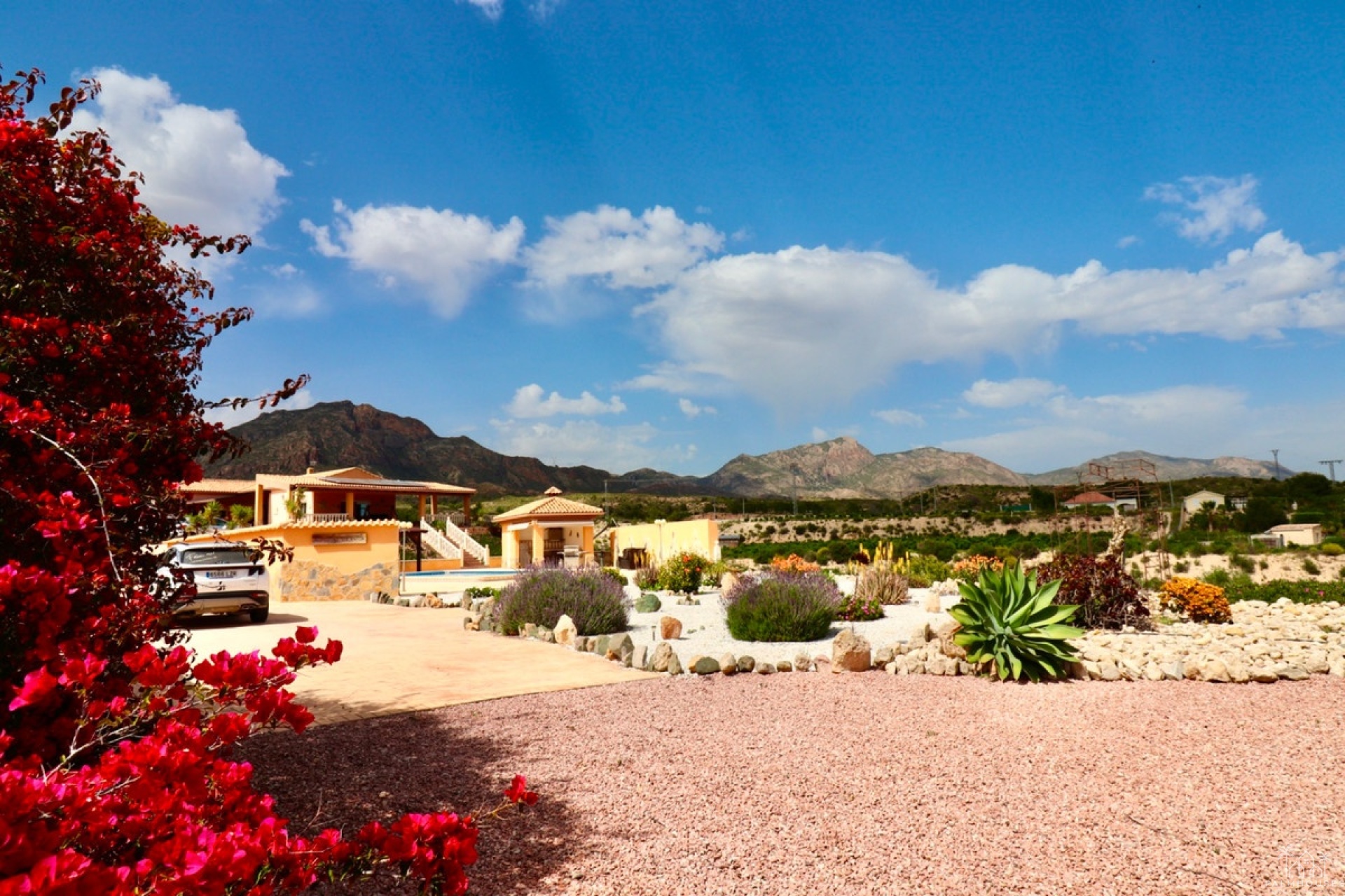 Venta - Villa - Albatera - Albatera Centro