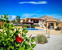 Venta - Villa - Albatera - Albatera Centro