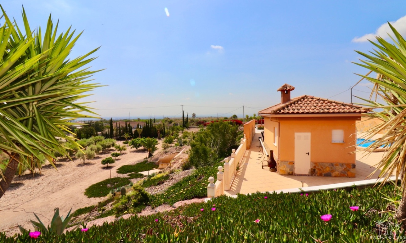 Venta - Villa - Albatera - Albatera Centro