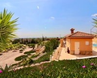 Venta - Villa - Albatera - Albatera Centro