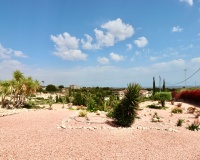 Venta - Villa - Albatera - Albatera Centro