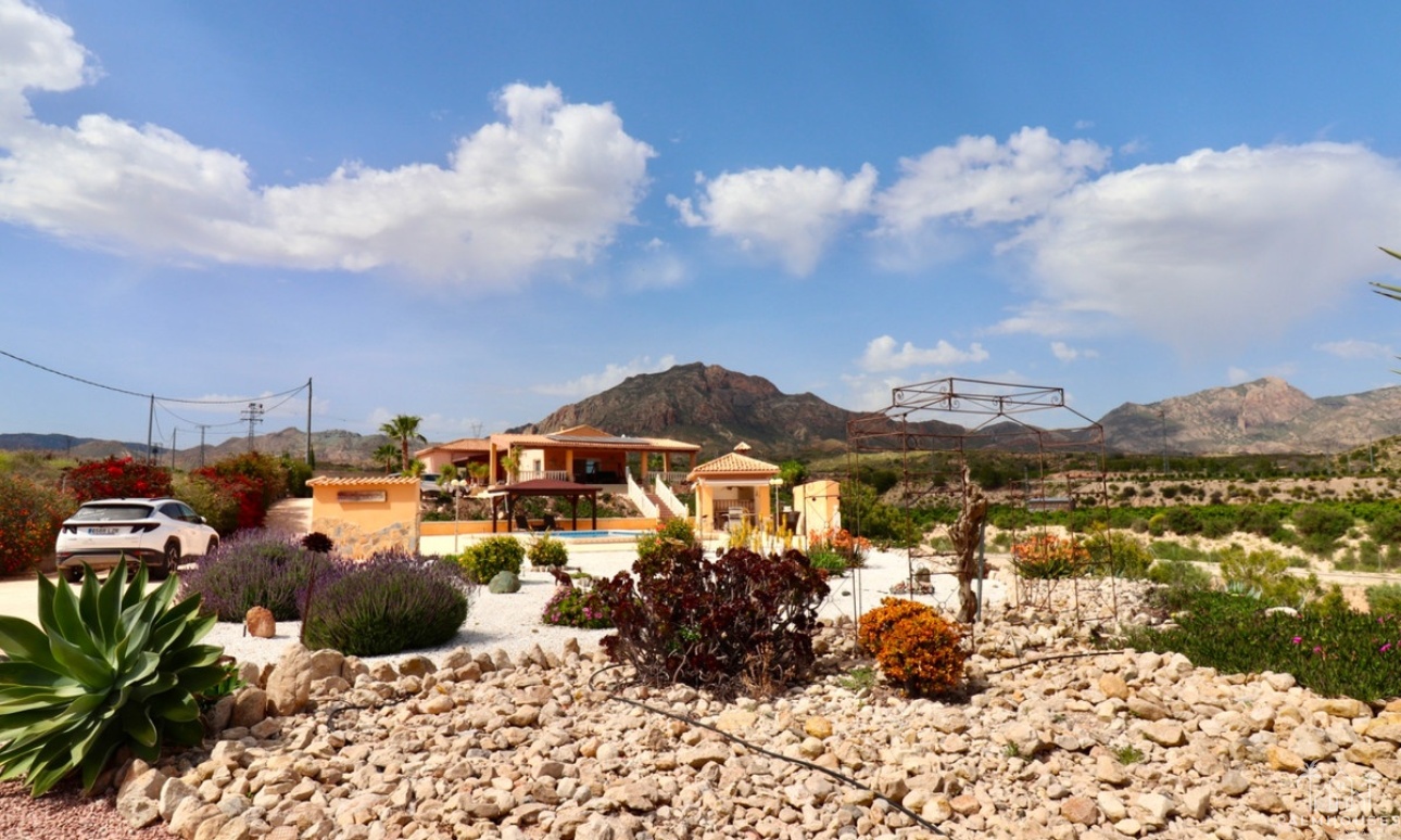 Venta - Villa - Albatera - Albatera Centro