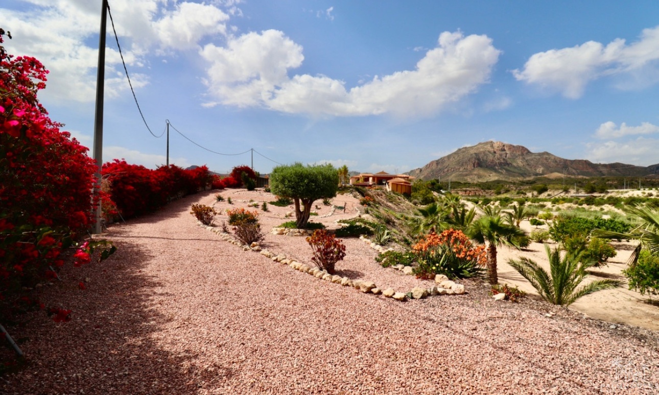 Venta - Villa - Albatera - Albatera Centro