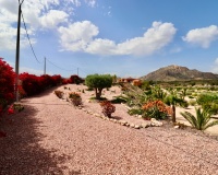 Venta - Villa - Albatera - Albatera Centro