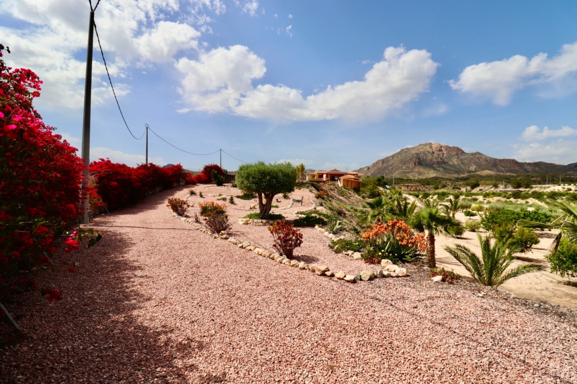 Venta - Villa - Albatera - Albatera Centro