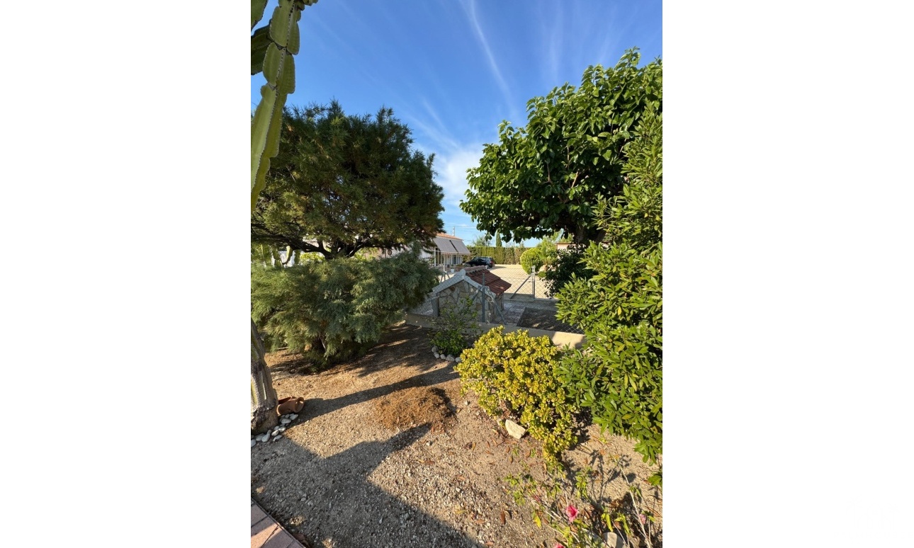 Venta - Villa - Albatera - Partida Lomas