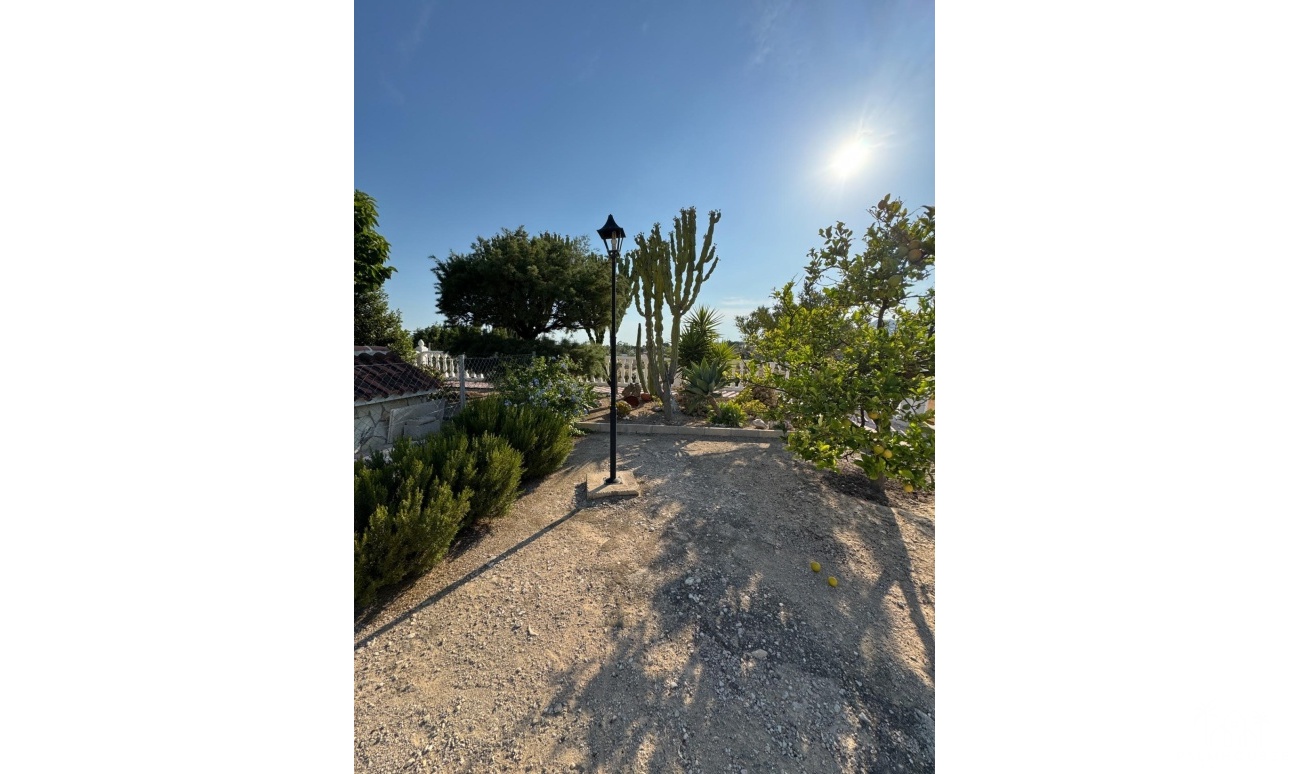 Venta - Villa - Albatera - Partida Lomas