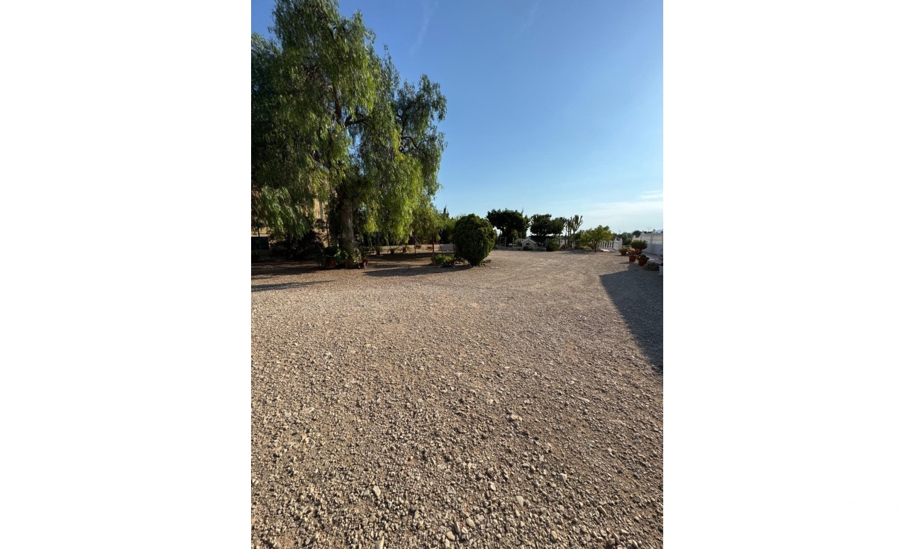 Venta - Villa - Albatera - Partida Lomas