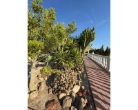 Venta - Villa - Albatera - Partida Lomas
