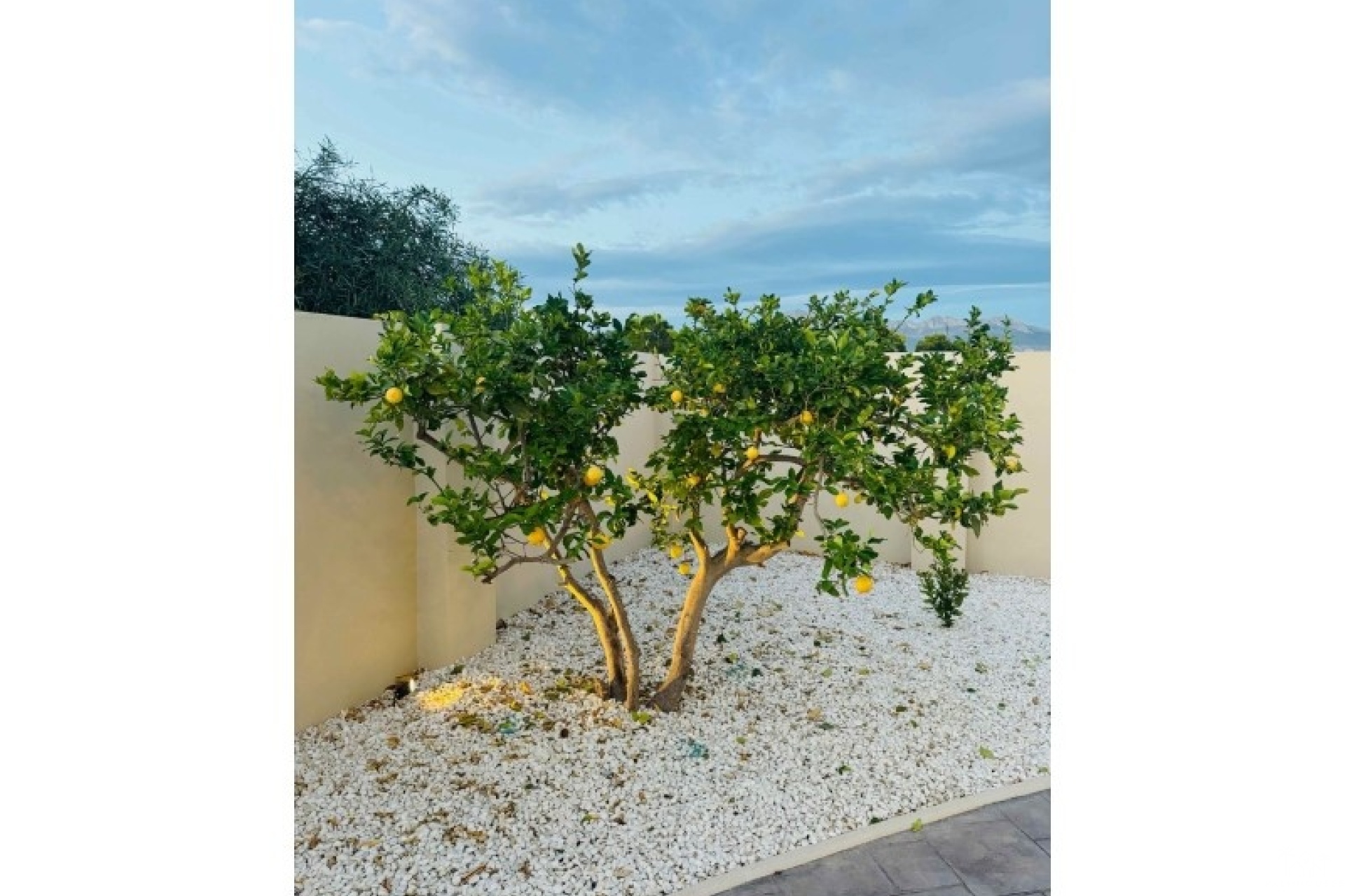 Venta - Villa - Alfaz del Pi - Costa Blanca