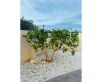 Venta - Villa - Alfaz del Pi - Pueblo