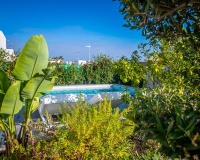 Venta - Villa - Algorfa - Algorfa Centro