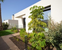 Venta - Villa - Algorfa - Comunidad Valenciana