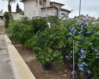 Venta - Villa - Algorfa - Inland