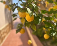 Venta - Villa - Algorfa - Inland