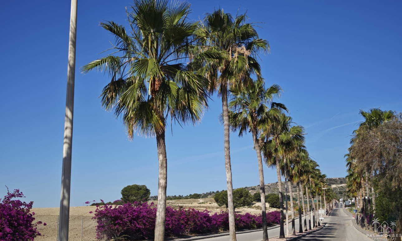 Venta - Villa - Algorfa - Inland