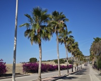 Venta - Villa - Algorfa - Inland
