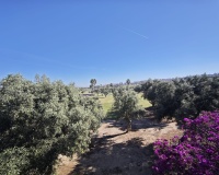 Venta - Villa - Algorfa - Inland