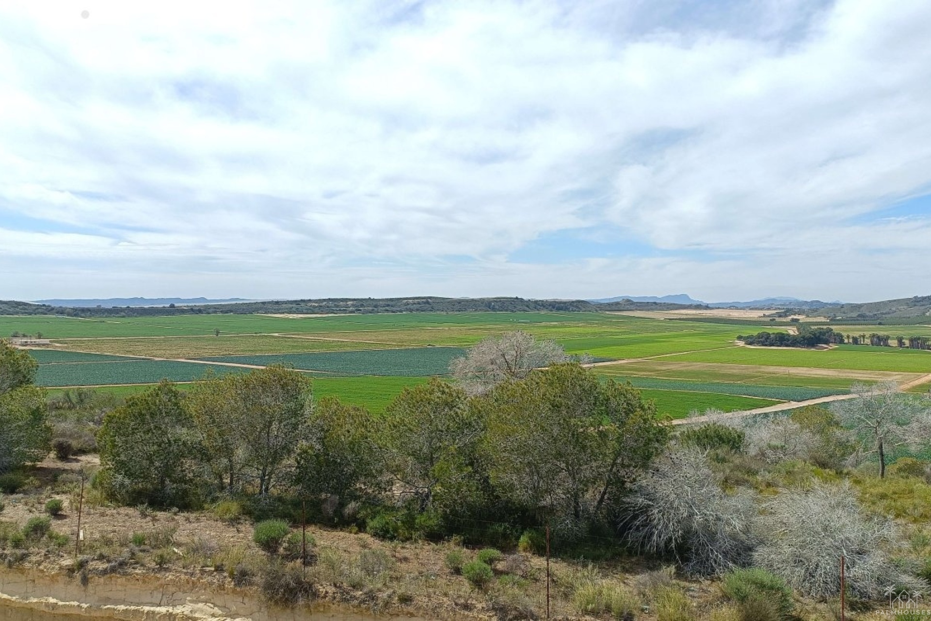 Venta - Villa - Algorfa - Inland